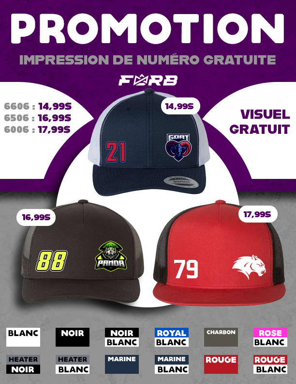 PROMO : CASQUETTE 6506
