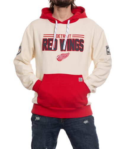 Detroit Red Wings NHL Unisex Reverse Terry Retro Premium Hoodie